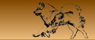EFD-Logodog