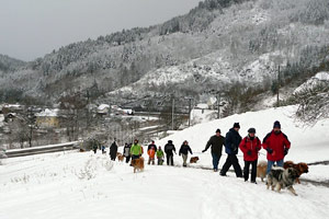 Eurasierspaziergang im Schnee