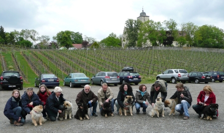 Welpen und Besitzer vor der Hallburg