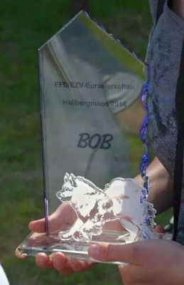 BOB-Pokal Eurasierschau 2014